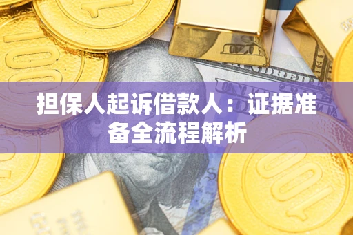 北京担保人起诉借款人：证据准备全流程解析