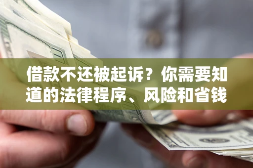 北京借款不还被起诉？你需要知道的法律程序、风险和省钱技巧