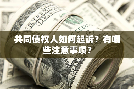 北京共同债权人如何起诉？有哪些注意事项？